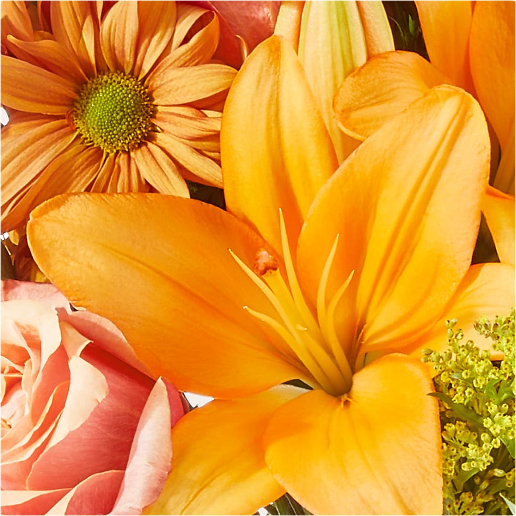 Harvest Hayride Bouquet – L & M FLOWER SHOP, Canonsburg PA
