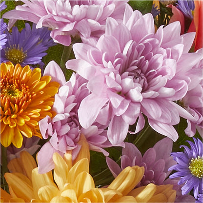 Countryside Bouquet – L & M FLOWER SHOP, Canonsburg PA