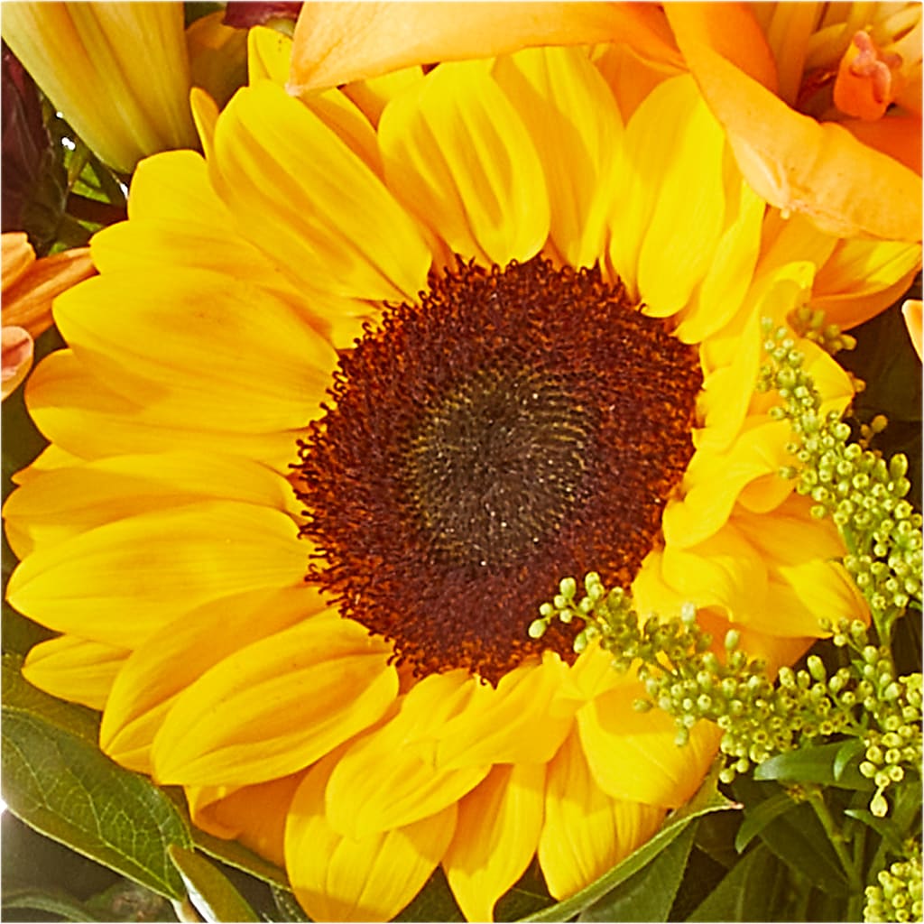 Seasons Change Bouquet – L & M FLOWER SHOP, Canonsburg PA