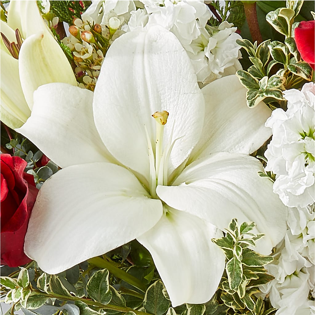 Twinkle Lights Bouquet – L & M FLOWER SHOP, Canonsburg PA