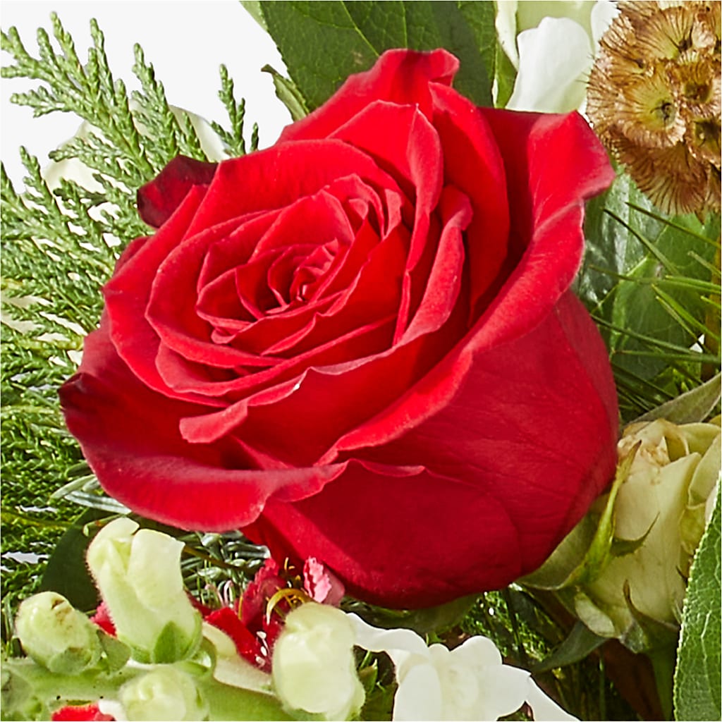 Deck the Halls Bouquet – L & M FLOWER SHOP, Canonsburg PA