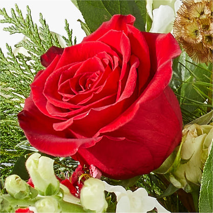 Deck the Halls Bouquet – L & M FLOWER SHOP, Canonsburg PA
