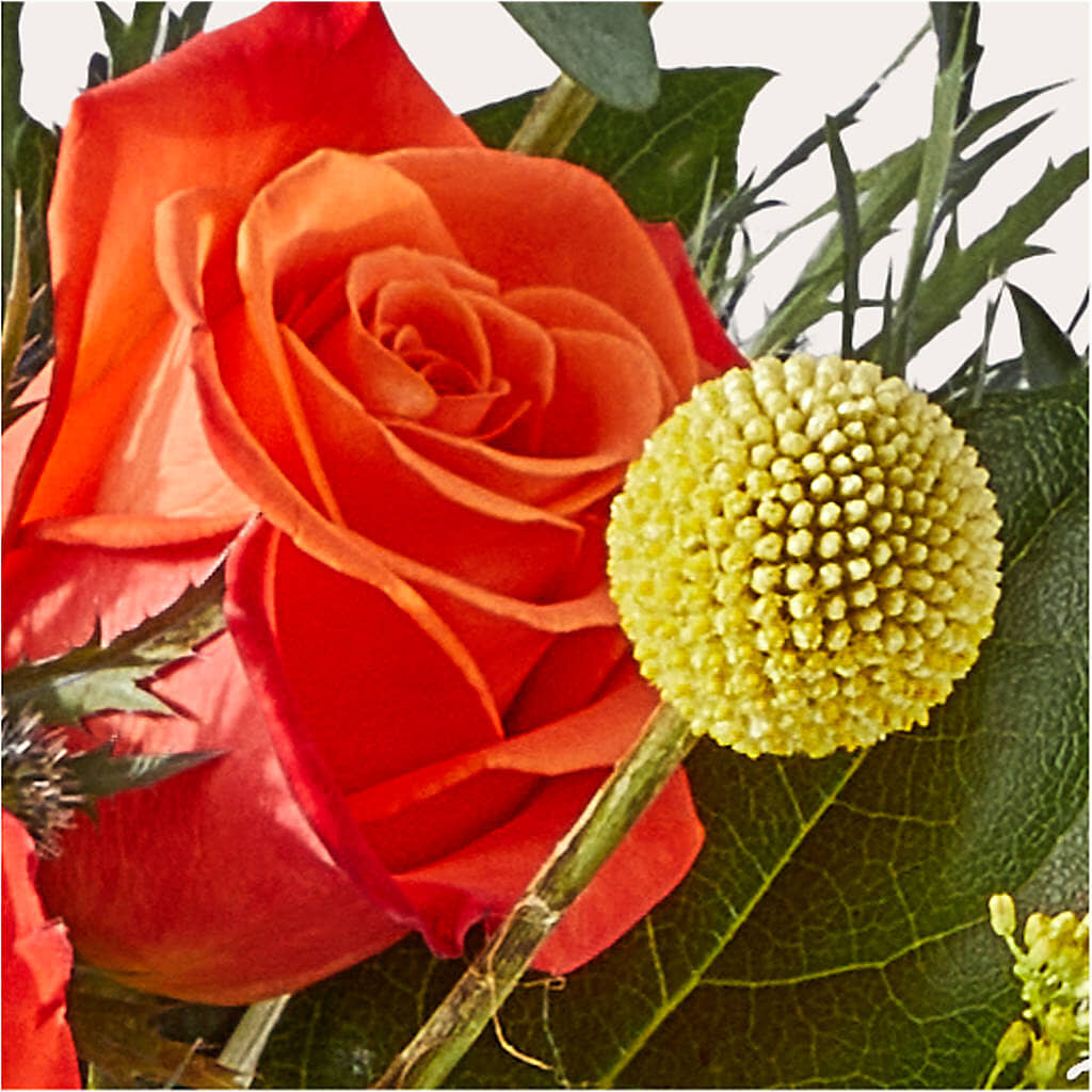 Disco Bouquet – L & M FLOWER SHOP, Canonsburg PA