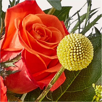 Disco Bouquet – L & M FLOWER SHOP, Canonsburg PA