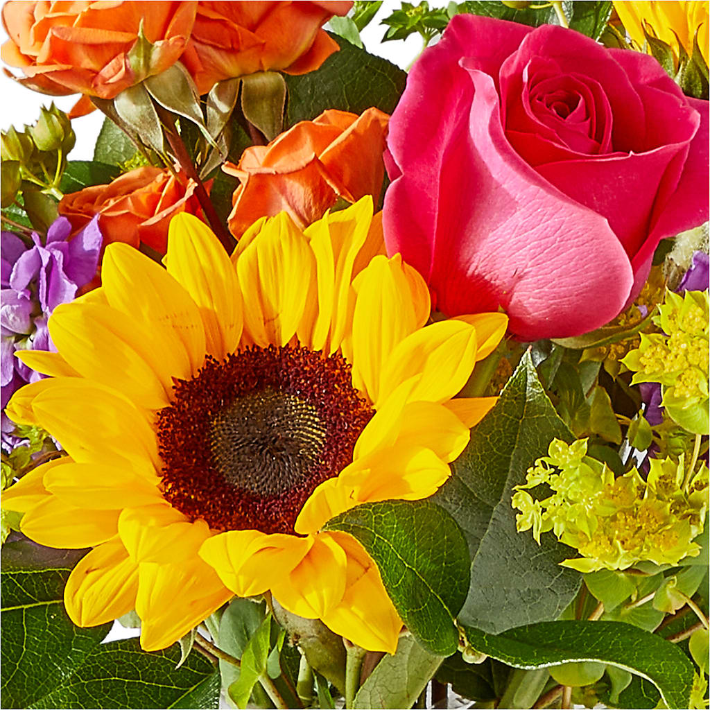 Vibrant Greetings Bouquet – L & M FLOWER SHOP, Canonsburg PA