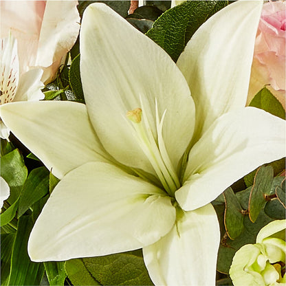 Ballet Slippers Bouquet – L & M FLOWER SHOP, Canonsburg PA