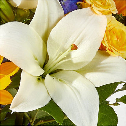 Wonderfully Sunny Bouquet – L & M FLOWER SHOP, Canonsburg PA