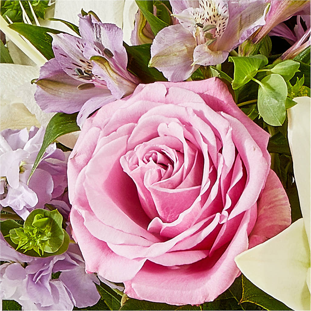 Daydreamer Bouquet – L & M FLOWER SHOP, Canonsburg PA