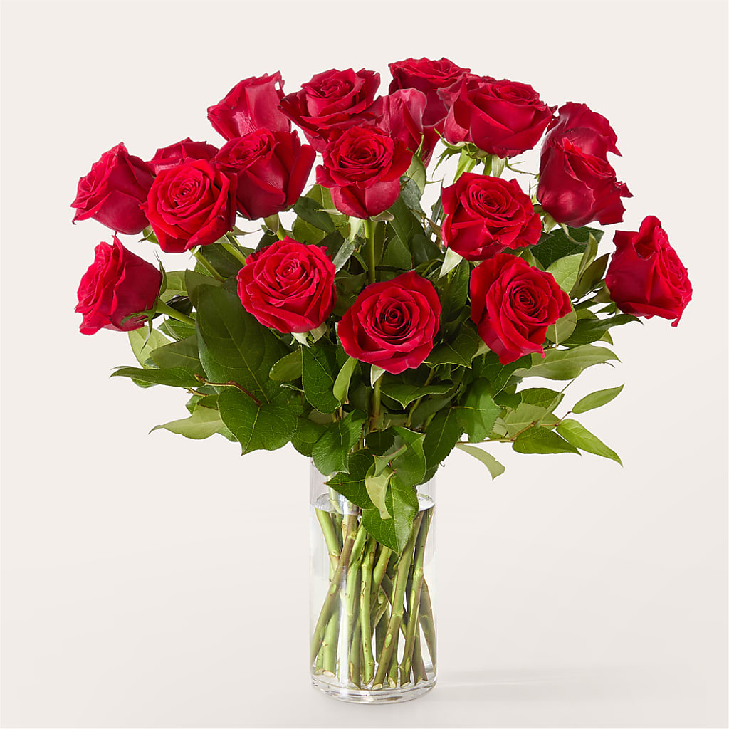 The One Red Rose Bouquet – L & M FLOWER SHOP, Canonsburg PA