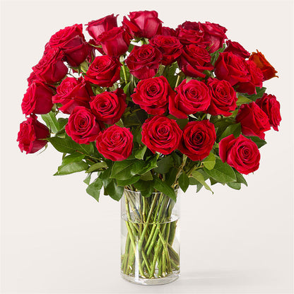 The One Red Rose Bouquet – L & M FLOWER SHOP, Canonsburg PA