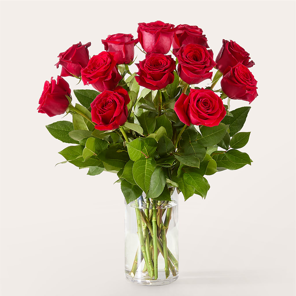 The One Red Rose Bouquet – L & M FLOWER SHOP, Canonsburg PA