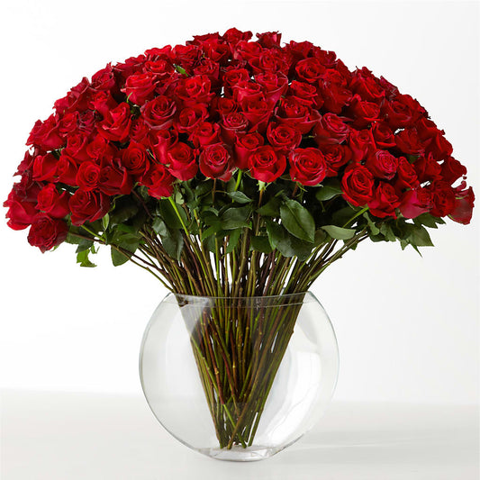 The Idealist – L & M FLOWER SHOP, Canonsburg PA