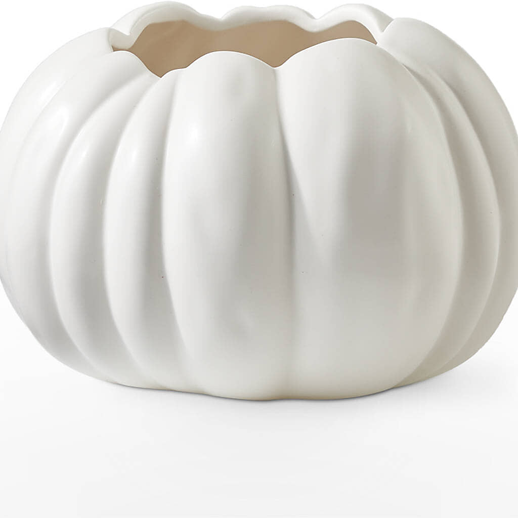 Pumpkin to Talk About Bouquet – L & M FLOWER SHOP, Canonsburg PA